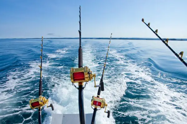 inshore or offshore fishing