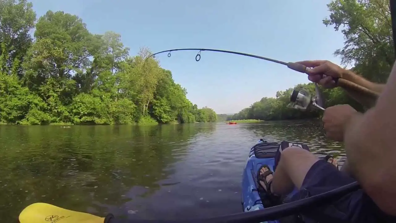 creek-fishing