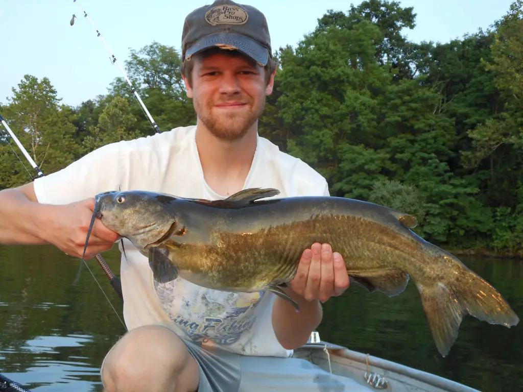 Top Tips on How to Successfully Night Fish for Channel Catfish 