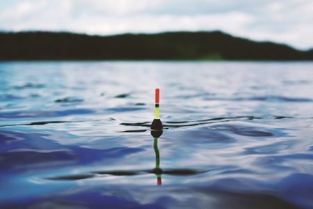 Catching Yellow Perch