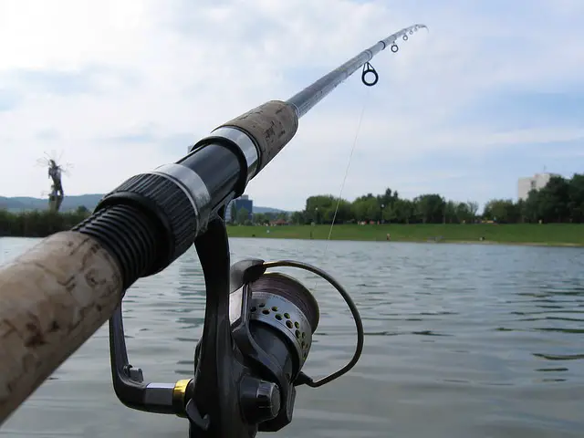 Catching Atlantic Striped Bass