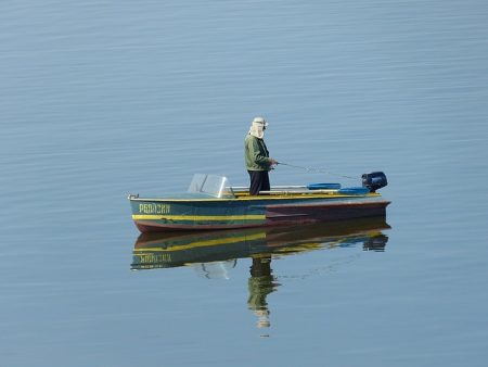 Bass on the Fly