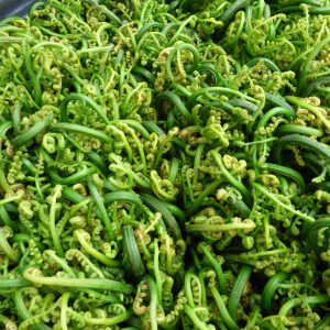 Best fiddlehead recipes_GearWeAre