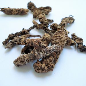 valerian-root-233970_1920-10 Spring Herbal Tea Plants of the Pacific Northwest-gearweare