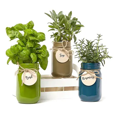 Mason Jar ‘Grow Your Own Herbs’ Set