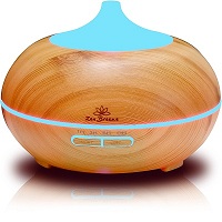 Zen Breeze Diffuser