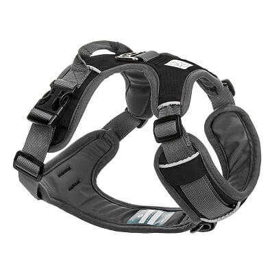 Embark’s Active dog harness