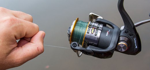 spinning reel cleaning