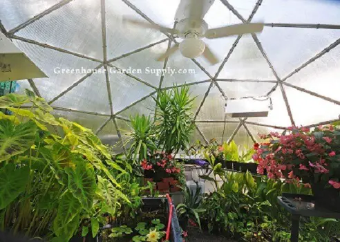 Greenhouse Geodesic Dome