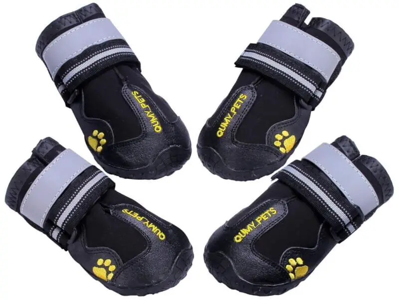 Best Dog Shoes Reviewed, Rated & Compared 2022