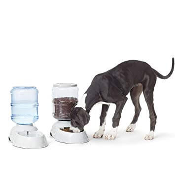 AmazonBasics Self-Dispensing Gravity Pet Feeder and Waterer