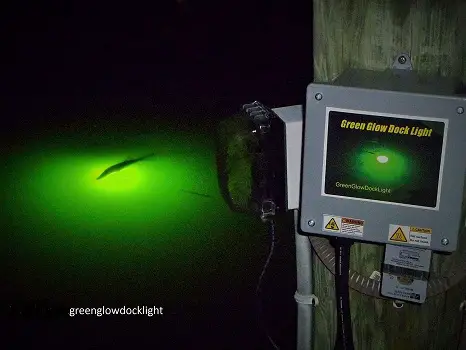 Green Glow Dock Light