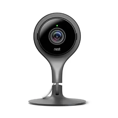 NEST CAM Dog Camera