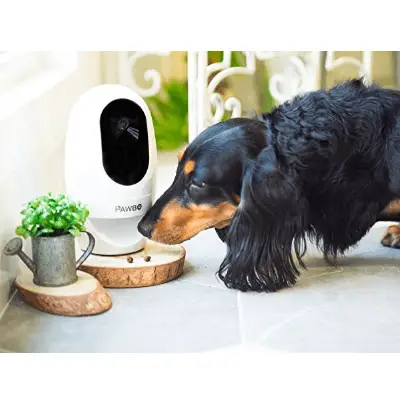 PAWBO PET CAMERA Dog Camera