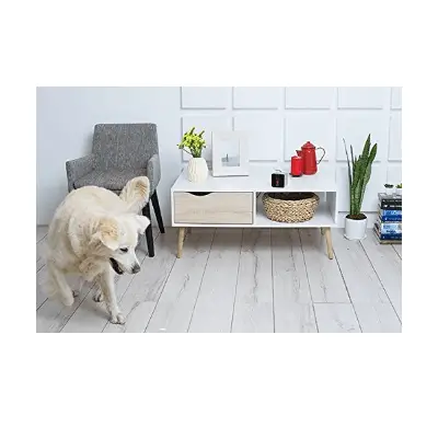 PETCUBE PLAY SMART CAMERA Dog Camera