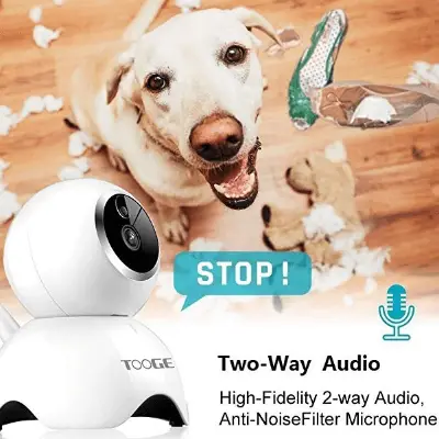 TOOGE PET CAMERA Dog Camera