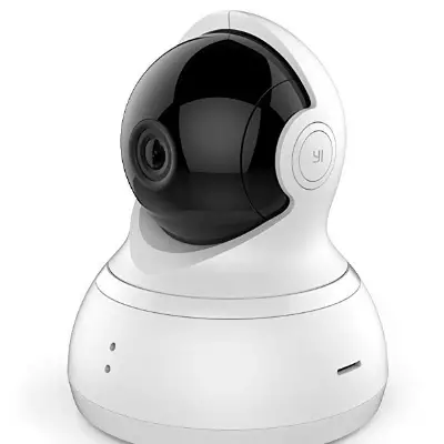 YI DOME Dog Camera