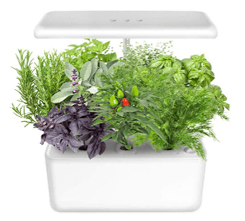 IDEER LIFE Indoor herb garden kit