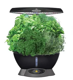 AEROGARDEN CLASSIC 6 indoor herb garden