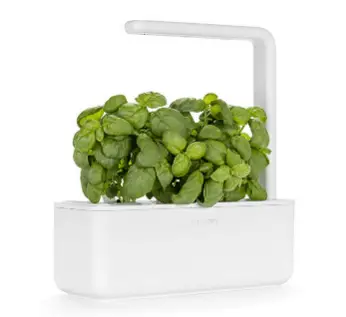 CLICK AND GROW indoor herb garden kit