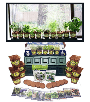 Sustainable Seed Company - Indoor Windowsill Herb Garden Kit