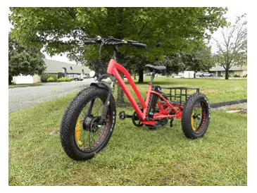 FT-1900 Fat tire Electric Tricycle
