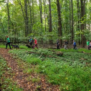 best hikes near NYC Staten Island