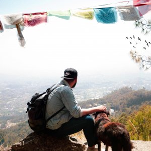 Hiking with dogs