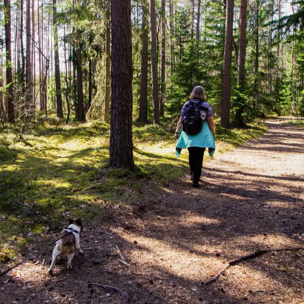 Hiking with dogs