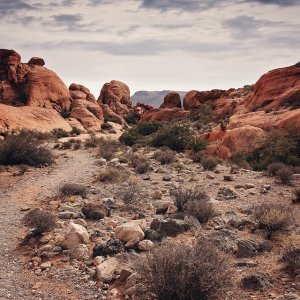 BLM Land - Nevada