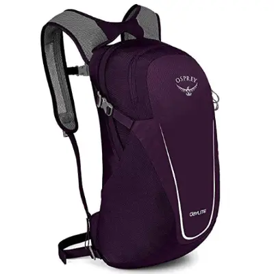 Osprey Daylight Backpack