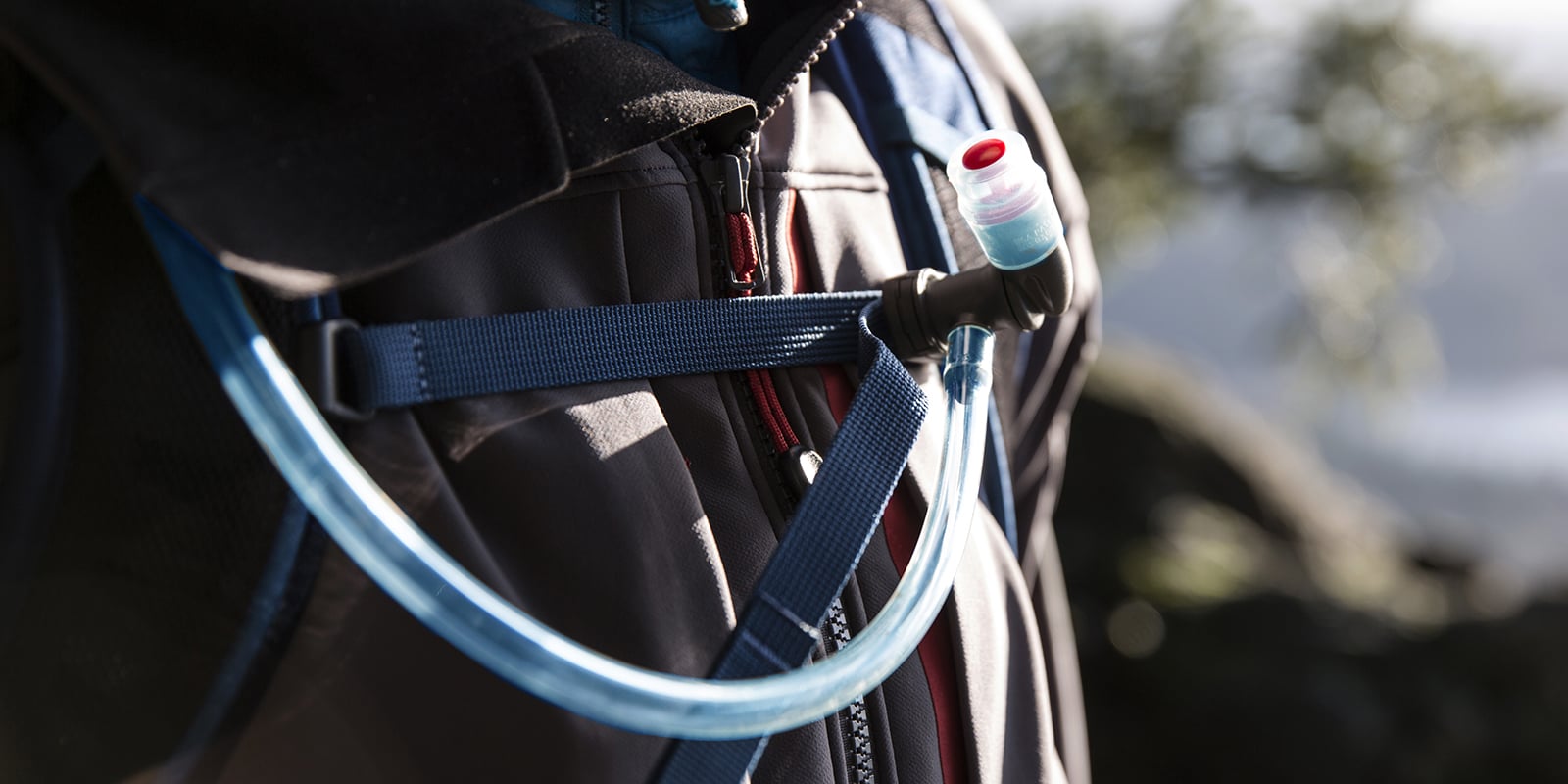 hydration pack and bladder cleaning