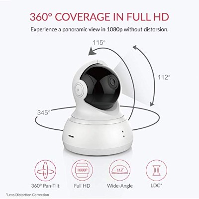 YI DOME Dog Camera