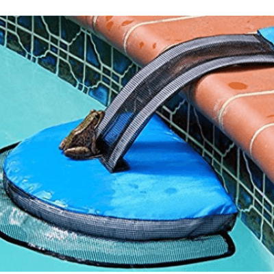 Swimline FrogLog Pool Accessories