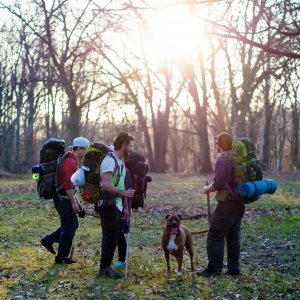 hiking with dog