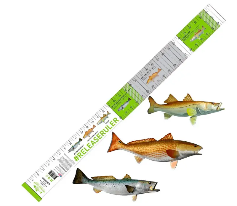 Best Fish Ruler Models - 2024 Review | Gearweare.net